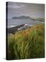 Lighthouse and Doulus Head, Valentia Island, Ring of Kerry, Co. Kerry, Munster, Republic of Ireland-Patrick Dieudonne-Stretched Canvas