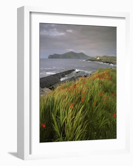 Lighthouse and Doulus Head, Valentia Island, Ring of Kerry, Co. Kerry, Munster, Republic of Ireland-Patrick Dieudonne-Framed Photographic Print