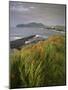 Lighthouse and Doulus Head, Valentia Island, Ring of Kerry, Co. Kerry, Munster, Republic of Ireland-Patrick Dieudonne-Mounted Photographic Print