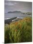 Lighthouse and Doulus Head, Valentia Island, Ring of Kerry, Co. Kerry, Munster, Republic of Ireland-Patrick Dieudonne-Mounted Photographic Print