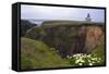 Lighthouse and Lilies, Point Cabrillo, Mendocino-George Oze-Framed Stretched Canvas