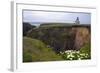 Lighthouse and Lilies, Point Cabrillo, Mendocino-George Oze-Framed Photographic Print