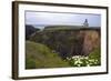 Lighthouse and Lilies, Point Cabrillo, Mendocino-George Oze-Framed Photographic Print