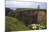 Lighthouse and Lilies, Point Cabrillo, Mendocino-George Oze-Mounted Photographic Print