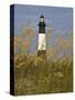 Lighthouse and Seaoats in Early Mooring, Tybee Island, Georgia, USA-Joanne Wells-Stretched Canvas