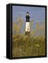 Lighthouse and Seaoats in Early Mooring, Tybee Island, Georgia, USA-Joanne Wells-Framed Stretched Canvas