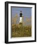 Lighthouse and Seaoats in Early Mooring, Tybee Island, Georgia, USA-Joanne Wells-Framed Premium Photographic Print