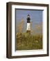 Lighthouse and Seaoats in Early Mooring, Tybee Island, Georgia, USA-Joanne Wells-Framed Photographic Print