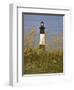 Lighthouse and Seaoats in Early Mooring, Tybee Island, Georgia, USA-Joanne Wells-Framed Photographic Print