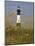 Lighthouse and Seaoats in Early Mooring, Tybee Island, Georgia, USA-Joanne Wells-Mounted Photographic Print