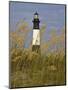 Lighthouse and Seaoats in Early Mooring, Tybee Island, Georgia, USA-Joanne Wells-Mounted Photographic Print