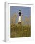 Lighthouse and Seaoats in Early Mooring, Tybee Island, Georgia, USA-Joanne Wells-Framed Photographic Print