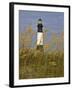 Lighthouse and Seaoats in Early Mooring, Tybee Island, Georgia, USA-Joanne Wells-Framed Photographic Print