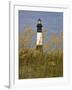 Lighthouse and Seaoats in Early Mooring, Tybee Island, Georgia, USA-Joanne Wells-Framed Photographic Print