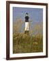 Lighthouse and Seaoats in Early Mooring, Tybee Island, Georgia, USA-Joanne Wells-Framed Photographic Print