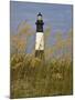Lighthouse and Seaoats in Early Mooring, Tybee Island, Georgia, USA-Joanne Wells-Mounted Photographic Print