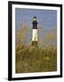 Lighthouse and Seaoats in Early Mooring, Tybee Island, Georgia, USA-Joanne Wells-Framed Photographic Print