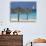 Lighthouse and Thatch Palapa, Nassau, Bahamas, Caribbean-Greg Johnston-Photographic Print displayed on a wall