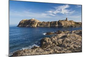 Lighthouse and Tower, Ile De La Pietra, Ile Rousse, Corsica, France-Walter Bibikow-Mounted Photographic Print