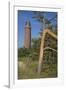 Lighthouse and Windswept Trees - Pines at the Darsser Ort Boat on the Darss Peninsula-Uwe Steffens-Framed Photographic Print