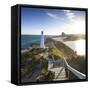 Lighthouse at Castlepoint, Wairarapa, North Island, New Zealand-Doug Pearson-Framed Stretched Canvas