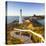 Lighthouse at Castlepoint, Wairarapa, North Island, New Zealand-Doug Pearson-Stretched Canvas