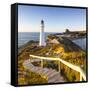 Lighthouse at Castlepoint, Wairarapa, North Island, New Zealand-Doug Pearson-Framed Stretched Canvas