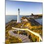 Lighthouse at Castlepoint, Wairarapa, North Island, New Zealand-Doug Pearson-Mounted Photographic Print