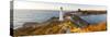 Lighthouse at Castlepoint, Wairarapa, North Island, New Zealand-Doug Pearson-Stretched Canvas