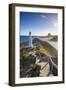 Lighthouse at Castlepoint, Wairarapa, North Island, New Zealand-Doug Pearson-Framed Photographic Print