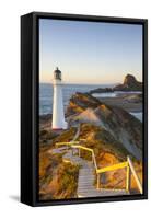 Lighthouse at Castlepoint, Wairarapa, North Island, New Zealand-Doug Pearson-Framed Stretched Canvas