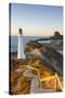 Lighthouse at Castlepoint, Wairarapa, North Island, New Zealand-Doug Pearson-Stretched Canvas