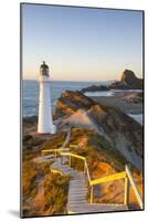 Lighthouse at Castlepoint, Wairarapa, North Island, New Zealand-Doug Pearson-Mounted Photographic Print