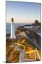 Lighthouse at Castlepoint, Wairarapa, North Island, New Zealand-Doug Pearson-Mounted Photographic Print
