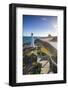 Lighthouse at Castlepoint, Wairarapa, North Island, New Zealand-Doug Pearson-Framed Photographic Print