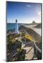 Lighthouse at Castlepoint, Wairarapa, North Island, New Zealand-Doug Pearson-Mounted Photographic Print