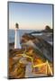 Lighthouse at Castlepoint, Wairarapa, North Island, New Zealand-Doug Pearson-Mounted Photographic Print