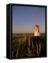 Lighthouse at Cavendish Beach, Prince Edward Island, Canada, North America-Alison Wright-Framed Stretched Canvas