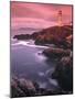 Lighthouse at Fanad Head, Donegal Peninsula, Co. Donegal, Ireland-Doug Pearson-Mounted Photographic Print