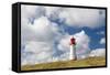 Lighthouse at West Ellenbogen, Sylt, Nordfriesland, Schleswig-Holstein, Germany-null-Framed Stretched Canvas