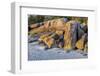 Lighthouse Beach, Annisquam, Gloucester, Massachusetts, USA.-Lisa Engelbrecht-Framed Photographic Print