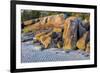 Lighthouse Beach, Annisquam, Gloucester, Massachusetts, USA.-Lisa Engelbrecht-Framed Photographic Print