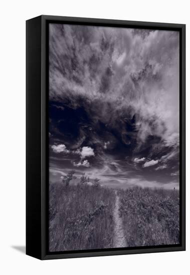 Lighthouse Beach Dunes BW-Steve Gadomski-Framed Stretched Canvas