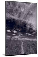 Lighthouse Beach Dunes BW-Steve Gadomski-Mounted Photographic Print