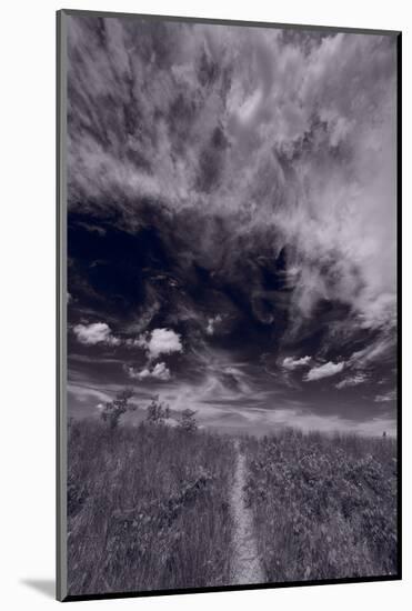 Lighthouse Beach Dunes BW-Steve Gadomski-Mounted Photographic Print