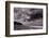 Lighthouse Beach Evanston IL BW-Steve Gadomski-Framed Photographic Print