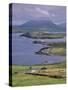 Lighthouse, Beginish Island, Ring of Kerry, County Kerry, Munster, Republic of Ireland-Patrick Dieudonne-Stretched Canvas