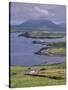 Lighthouse, Beginish Island, Ring of Kerry, County Kerry, Munster, Republic of Ireland-Patrick Dieudonne-Stretched Canvas