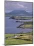 Lighthouse, Beginish Island, Ring of Kerry, County Kerry, Munster, Republic of Ireland-Patrick Dieudonne-Mounted Photographic Print