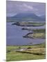 Lighthouse, Beginish Island, Ring of Kerry, County Kerry, Munster, Republic of Ireland-Patrick Dieudonne-Mounted Photographic Print